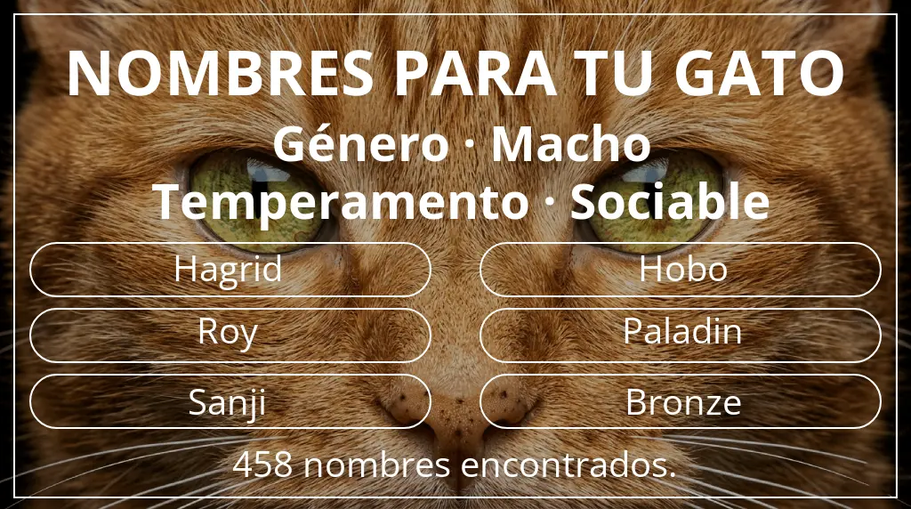 Nombres felinos inspirados en género macho y temperamento sociable