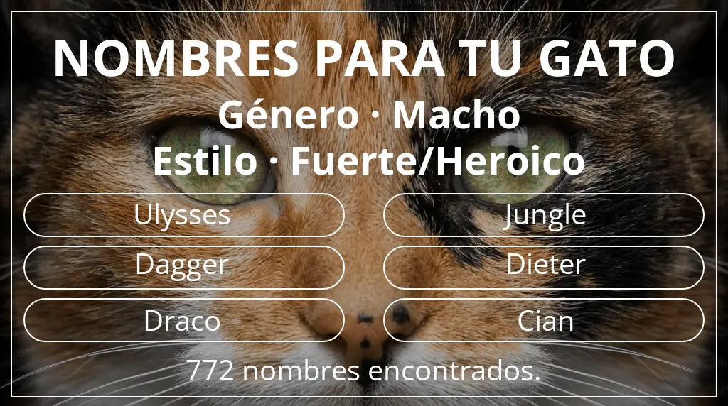 Nombres felinos inspirados en género macho y estilo fuerte/heroico
