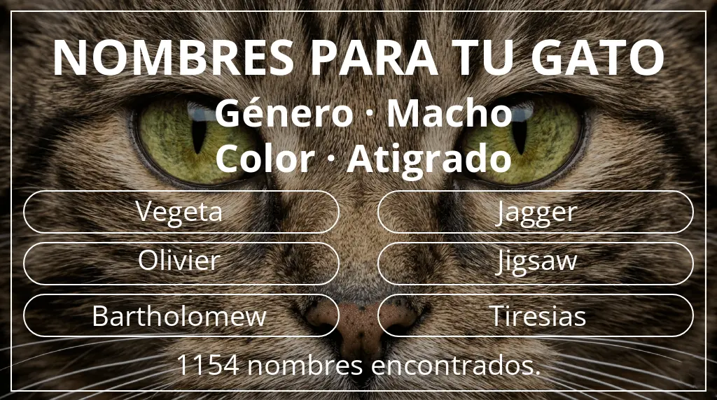 Nombres para gatos inspirados en género macho y color atigrado