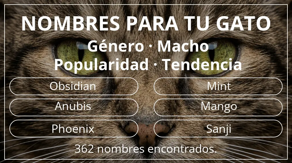 Nombres para gatos inspirados en género macho y popularidad tendencia