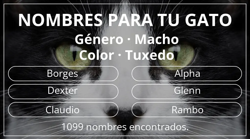 Nombres felinos basados en género macho y color tuxedo