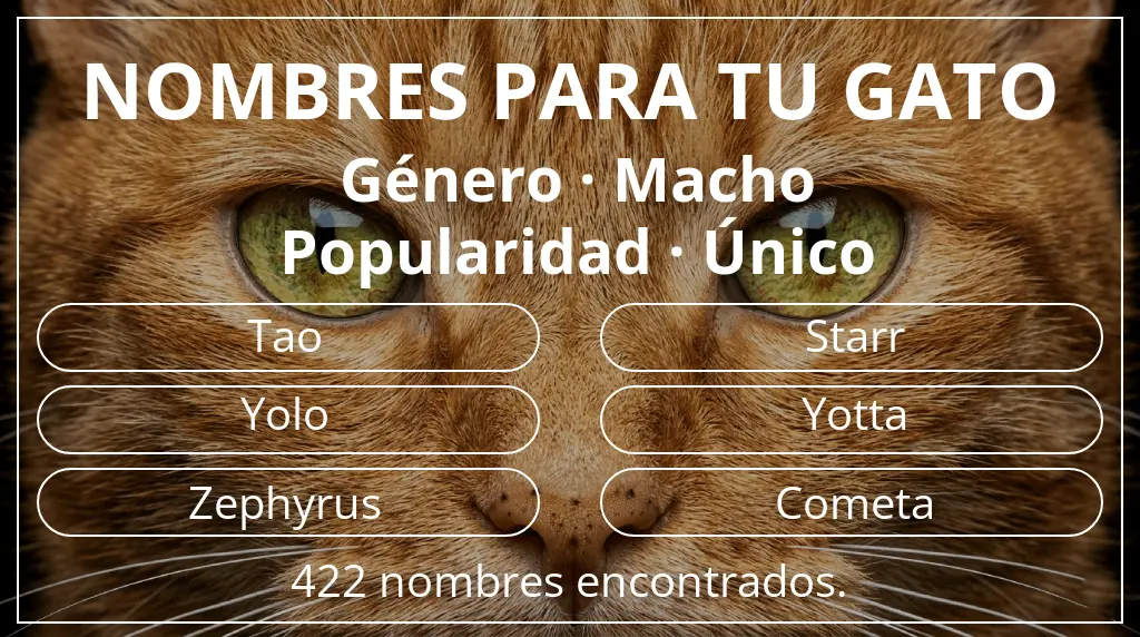 Nombres para gatos relacionados con género macho y popularidad único