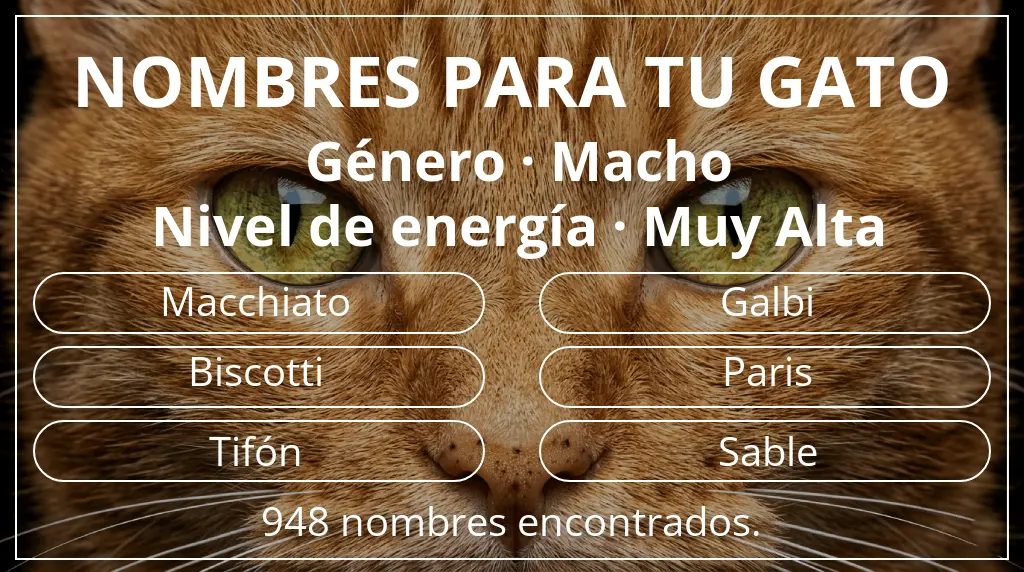Nombres felinos basados en género macho y nivel de energía muy alta