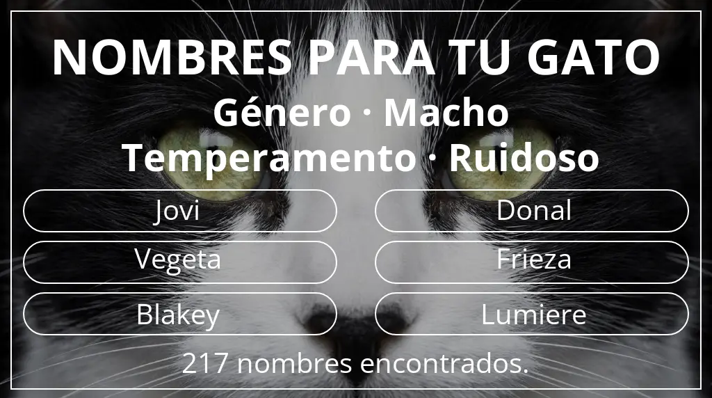 Nombres felinos inspirados en género macho y temperamento ruidoso