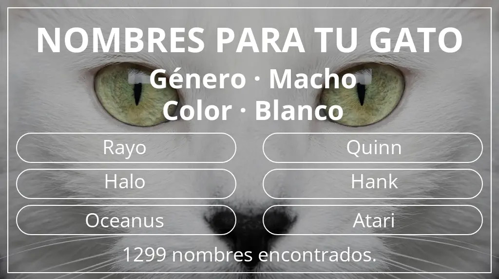 Nombres para gatos basados en género macho y color blanco