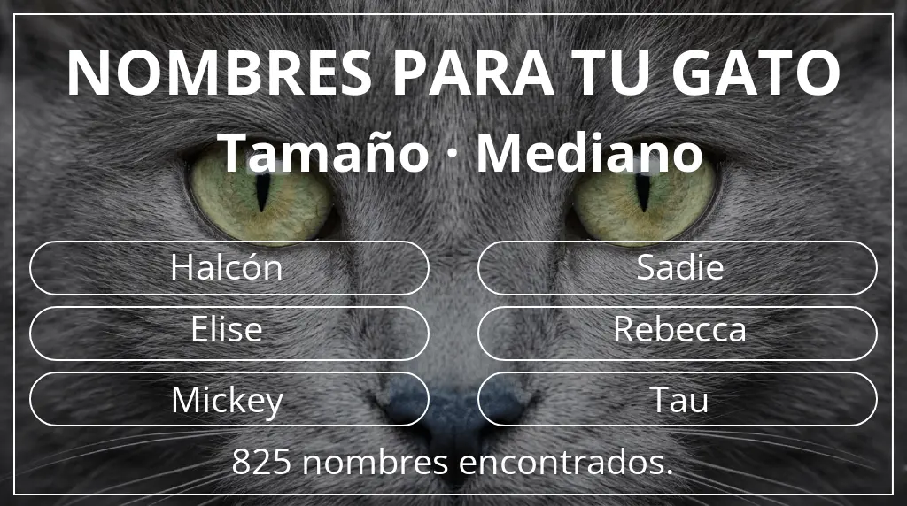 Nombres para gatos basados en tamaño mediano