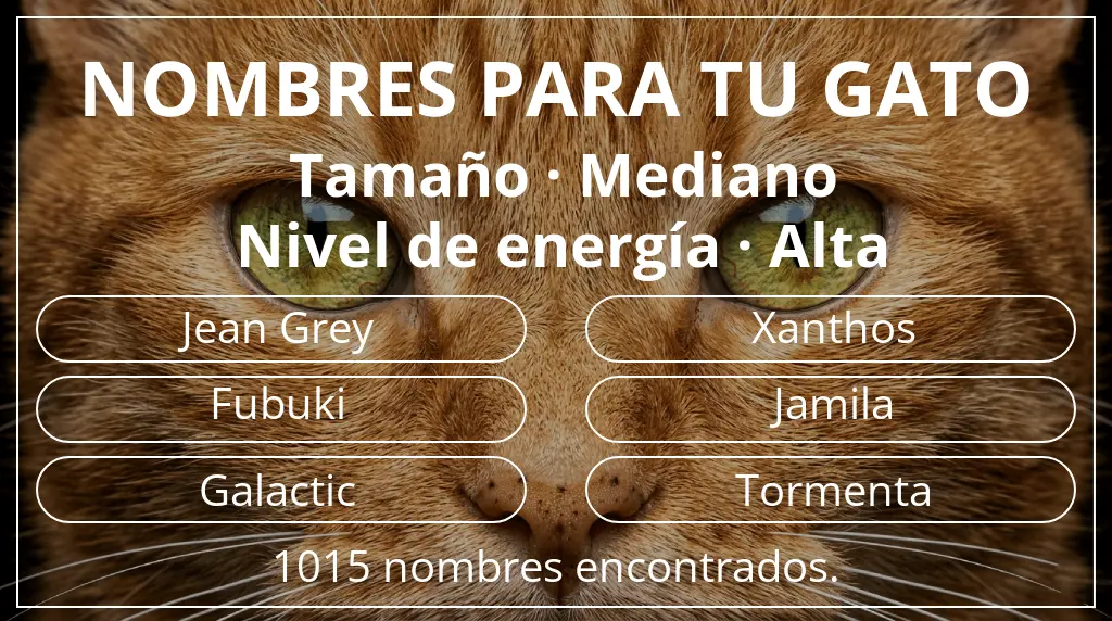 Nombres felinos relacionados con tamaño mediano y nivel de energía alta