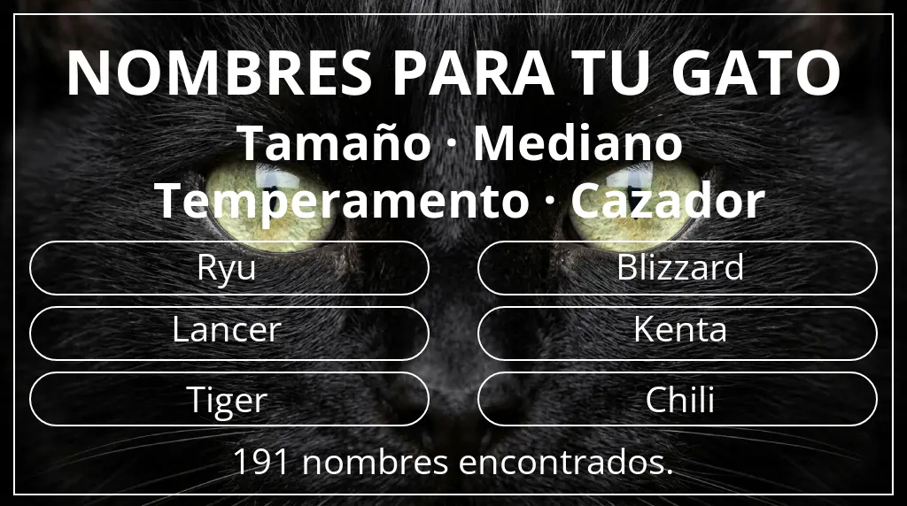 Nombres felinos inspirados en tamaño mediano y temperamento cazador