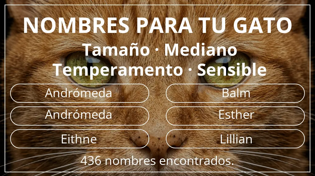 Nombres felinos inspirados en tamaño mediano y temperamento sensible
