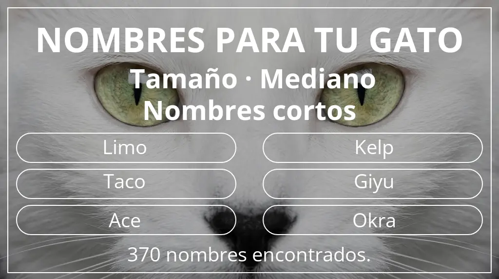 Nombres felinos relacionados con tamaño mediano y longitud del nombre corto (2-4)