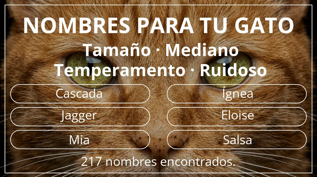 Nombres felinos relacionados con tamaño mediano y temperamento ruidoso