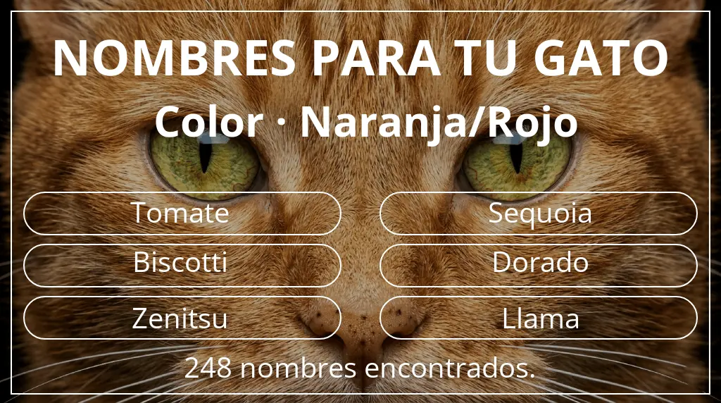 Nombres felinos relacionados con color naranja/rojo