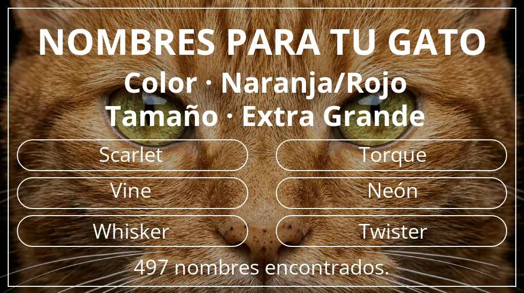 Nombres para gatos basados en color naranja/rojo y tamaño extra grande