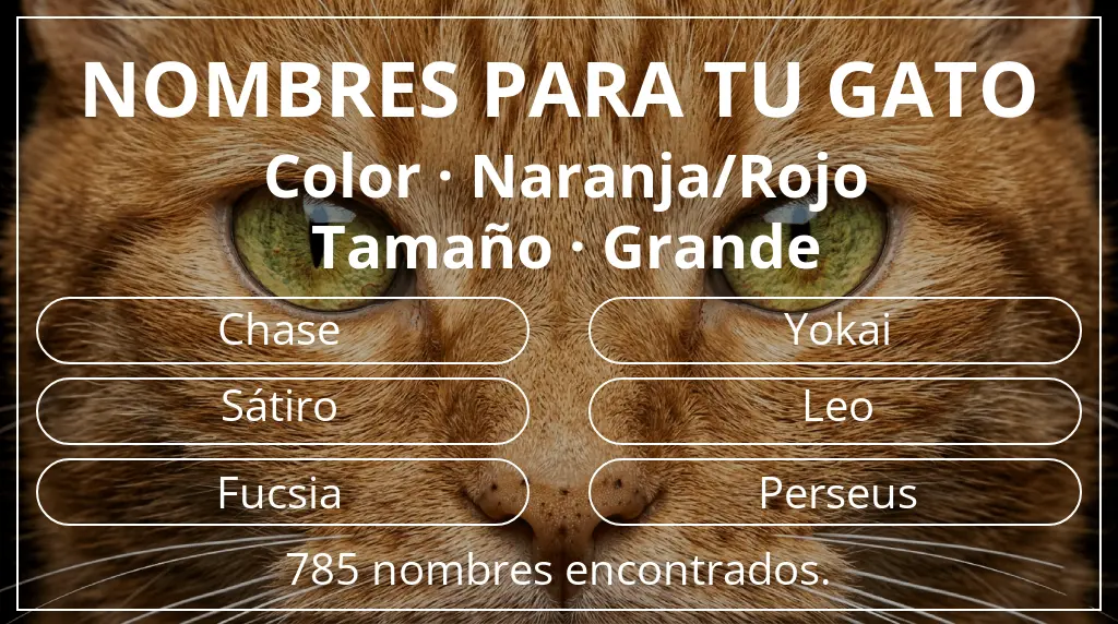 Nombres felinos basados en color naranja/rojo y tamaño grande