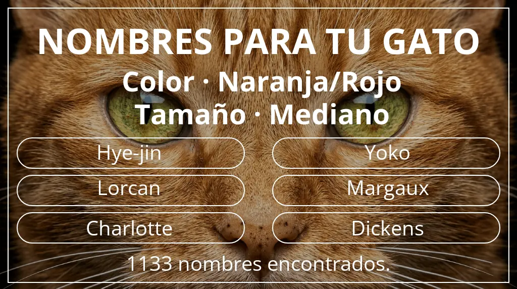 Nombres felinos basados en color naranja/rojo y tamaño mediano