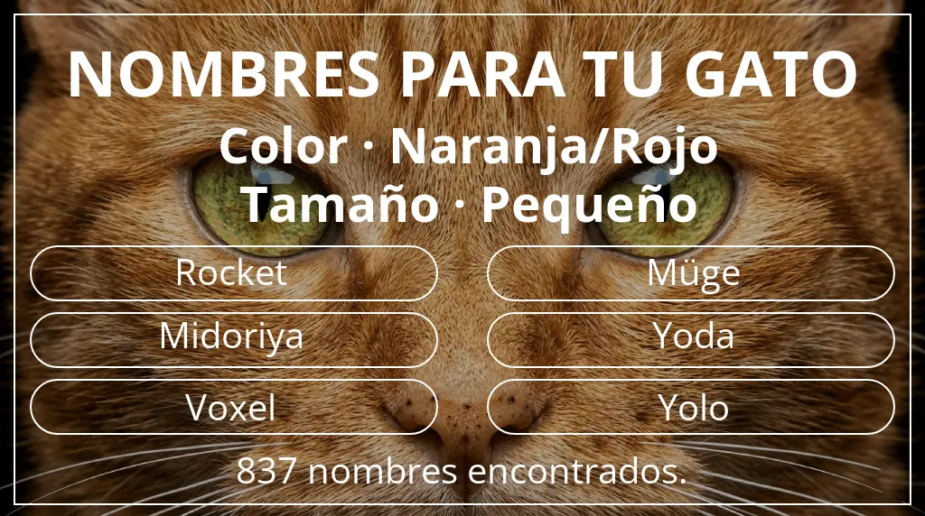 Nombres felinos inspirados en color naranja/rojo y tamaño pequeño