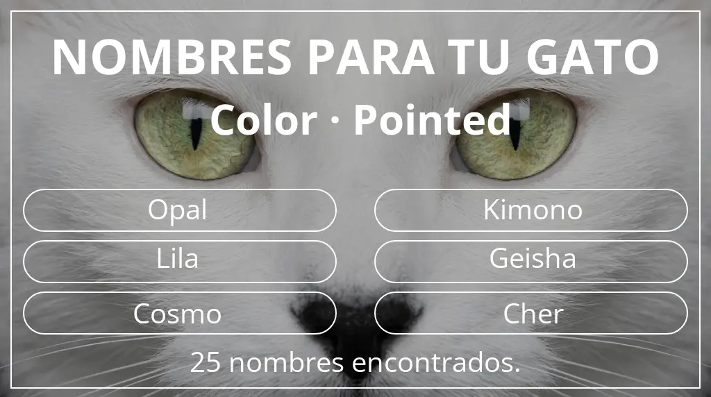 Nombres para gatos basados en color pointed