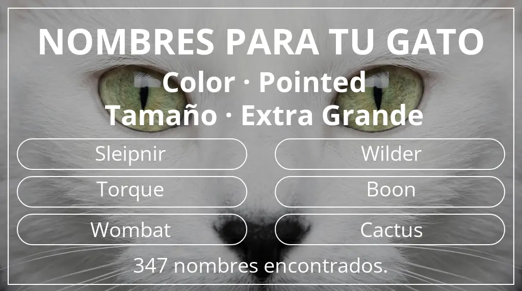 Nombres para gatos relacionados con color pointed y tamaño extra grande