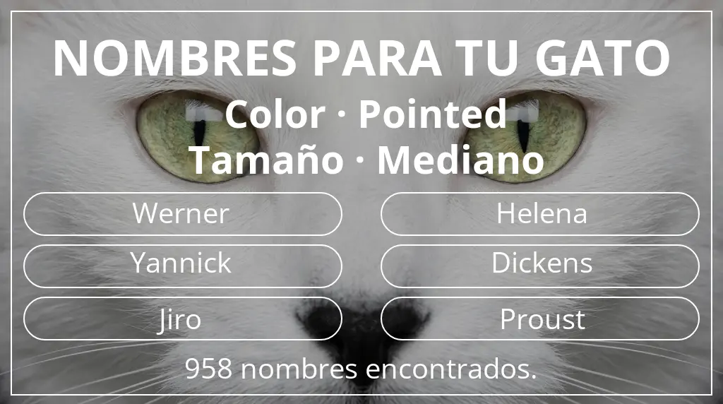 Nombres para gatos relacionados con color pointed y tamaño mediano