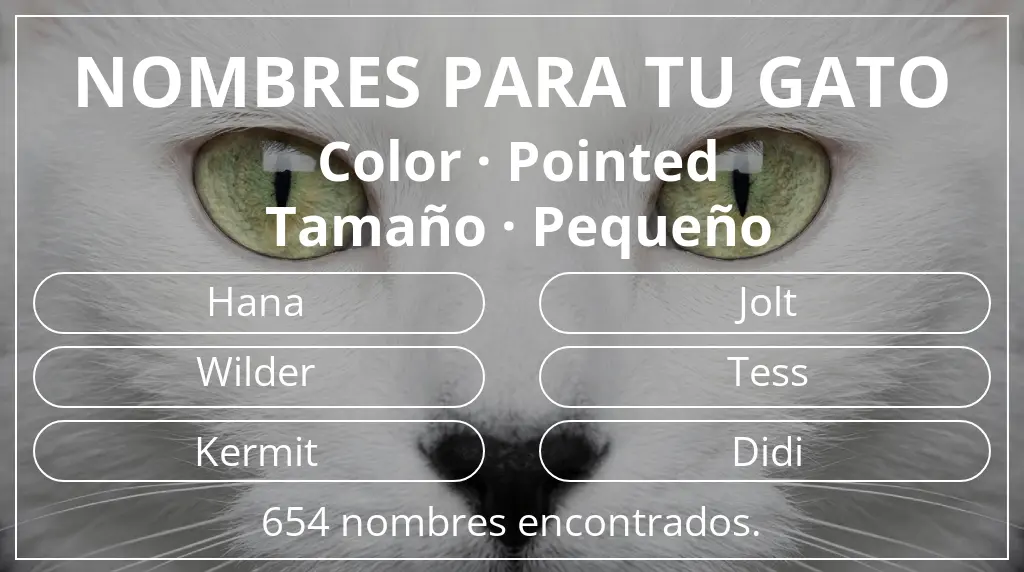 Nombres felinos relacionados con color pointed y tamaño pequeño