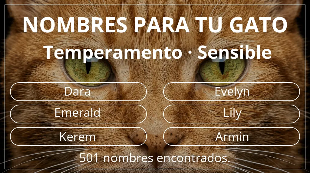 Nombres felinos inspirados en temperamento sensible