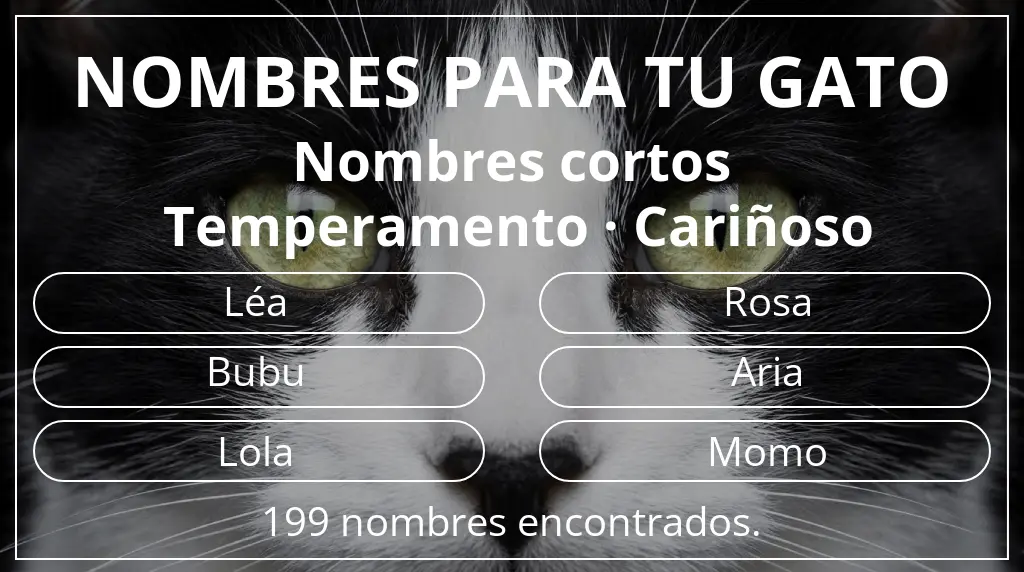 Nombres para gatos relacionados con longitud del nombre corto (2-4) y temperamento cariñoso