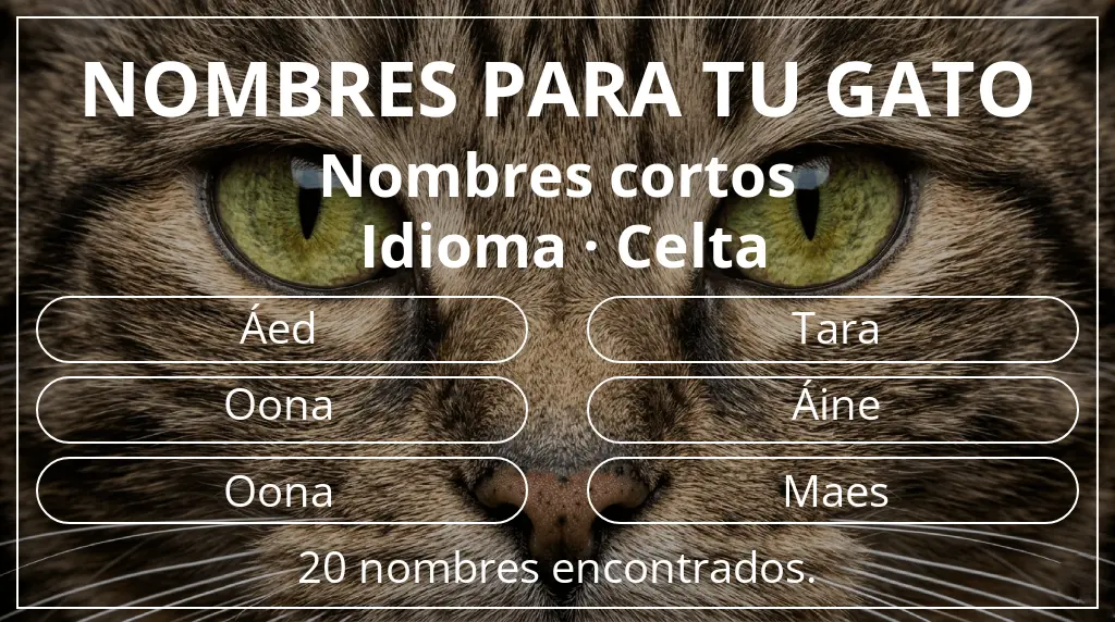 Nombres felinos inspirados en longitud del nombre corto (2-4) y idioma celta