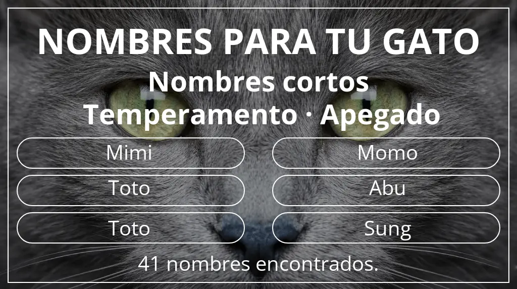 Nombres para gatos relacionados con longitud del nombre corto (2-4) y temperamento apegado
