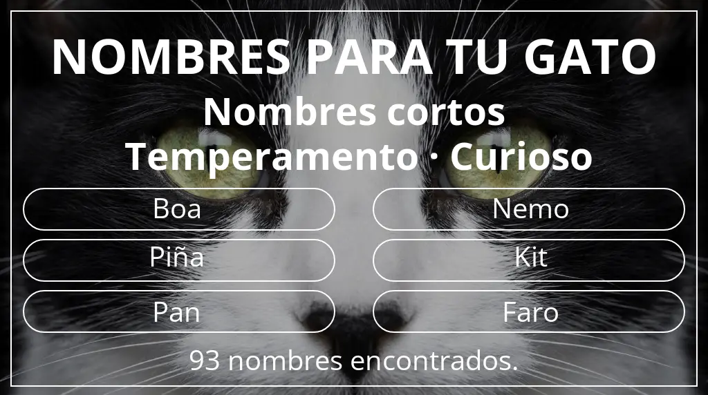 Nombres para gatos inspirados en longitud del nombre corto (2-4) y temperamento curioso