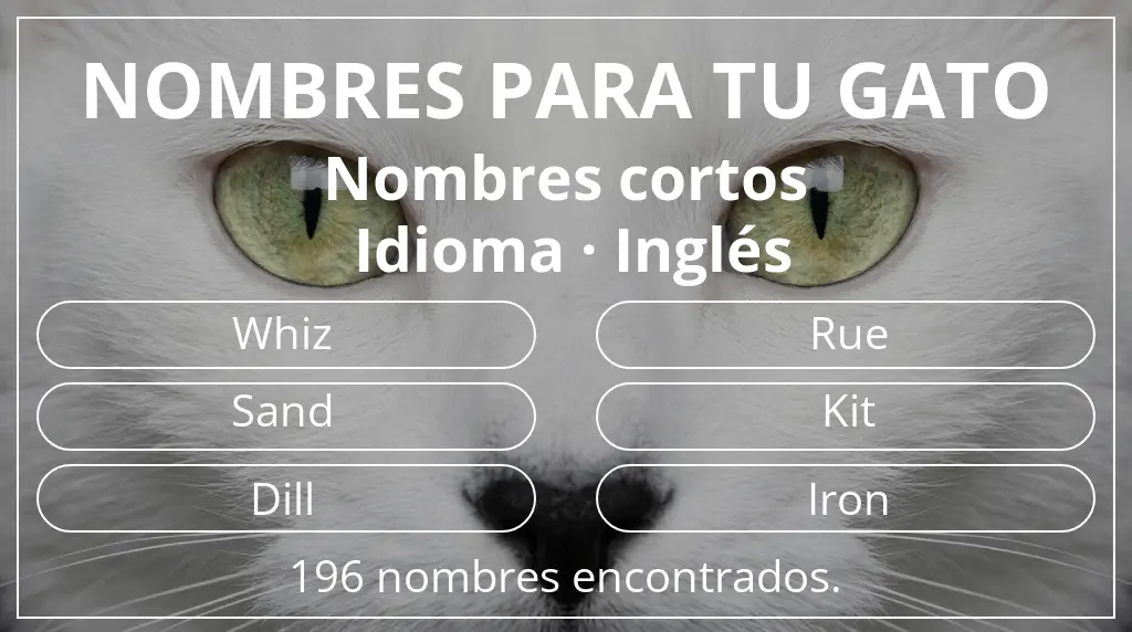 Nombres para gatos basados en longitud del nombre corto (2-4) y idioma inglés