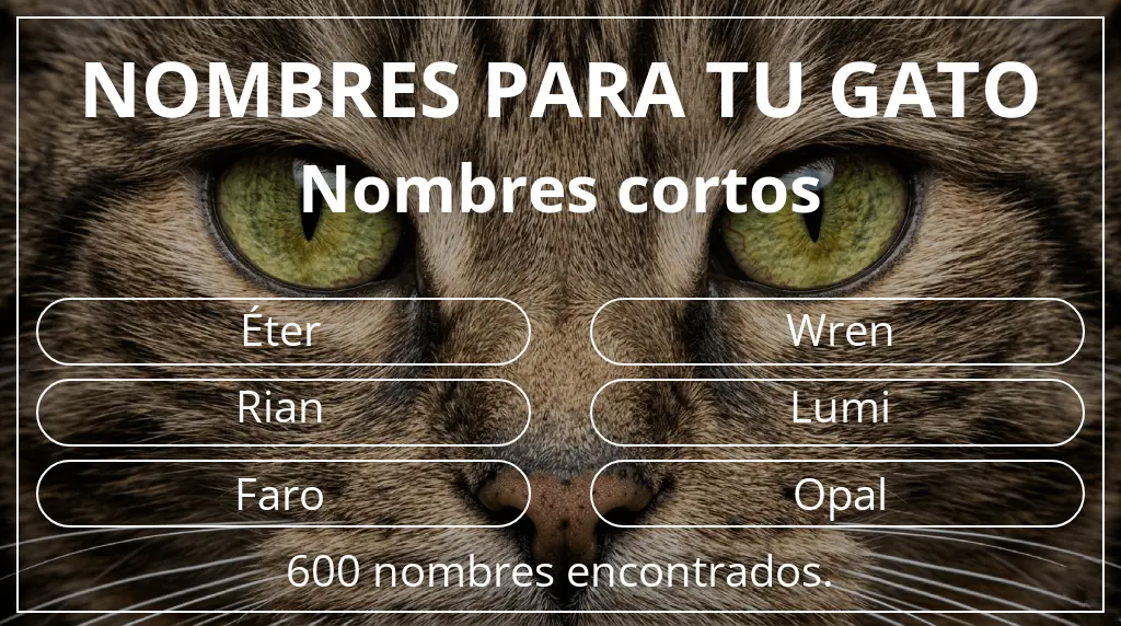 Nombres felinos inspirados en longitud del nombre corto (2-4)