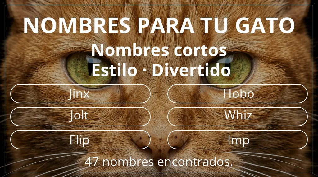 Nombres felinos inspirados en longitud del nombre corto (2-4) y estilo divertido