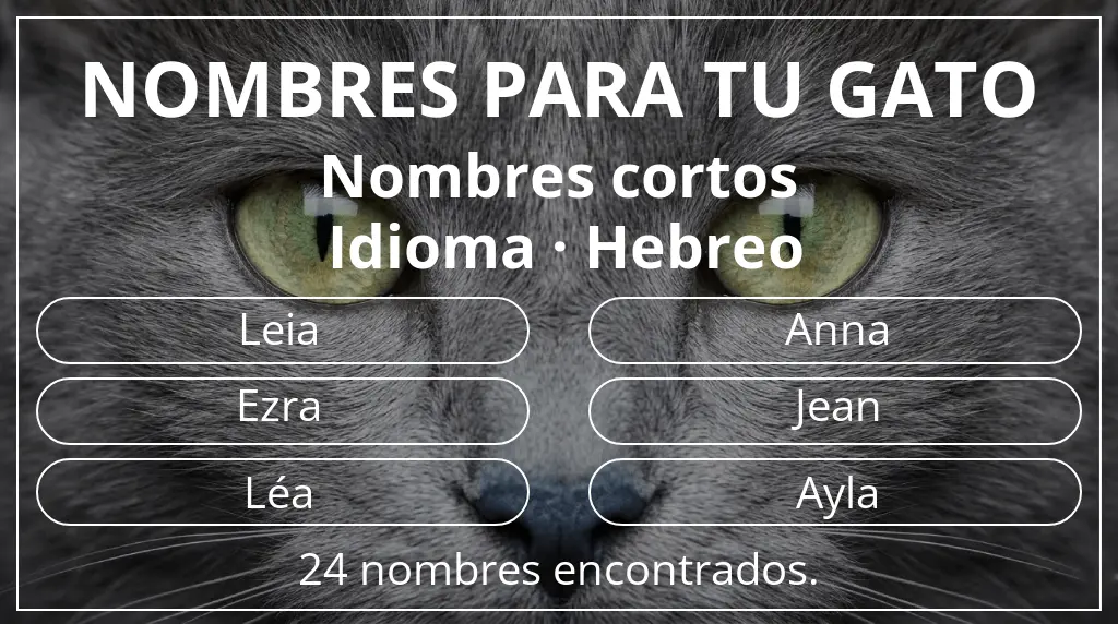 Nombres felinos basados en longitud del nombre corto (2-4) y idioma hebreo