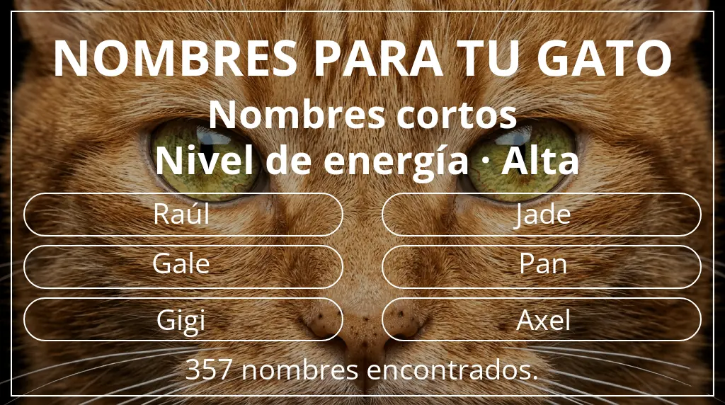 Nombres para gatos relacionados con longitud del nombre corto (2-4) y nivel de energía alta