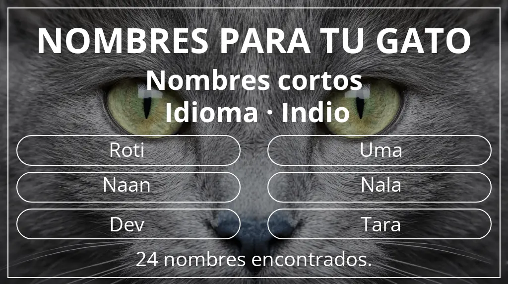 Nombres para gatos inspirados en longitud del nombre corto (2-4) y idioma indio