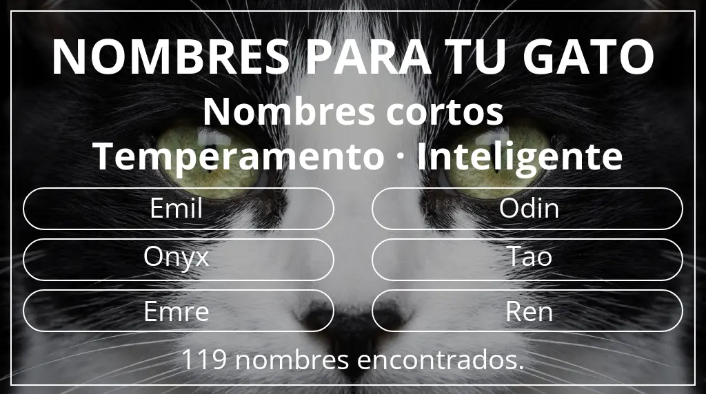 Nombres felinos inspirados en longitud del nombre corto (2-4) y temperamento inteligente