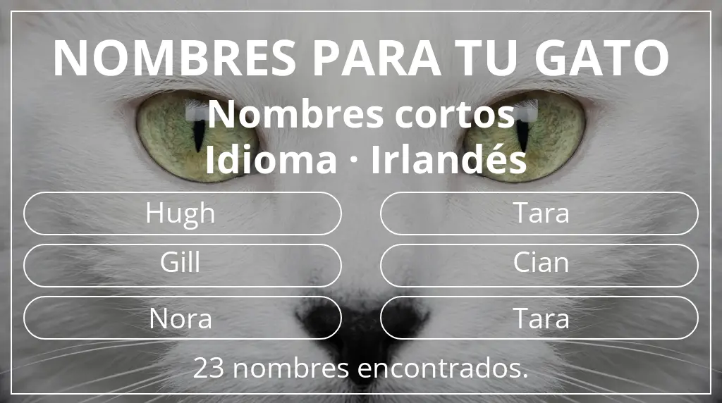 Nombres para gatos inspirados en longitud del nombre corto (2-4) y idioma irlandés