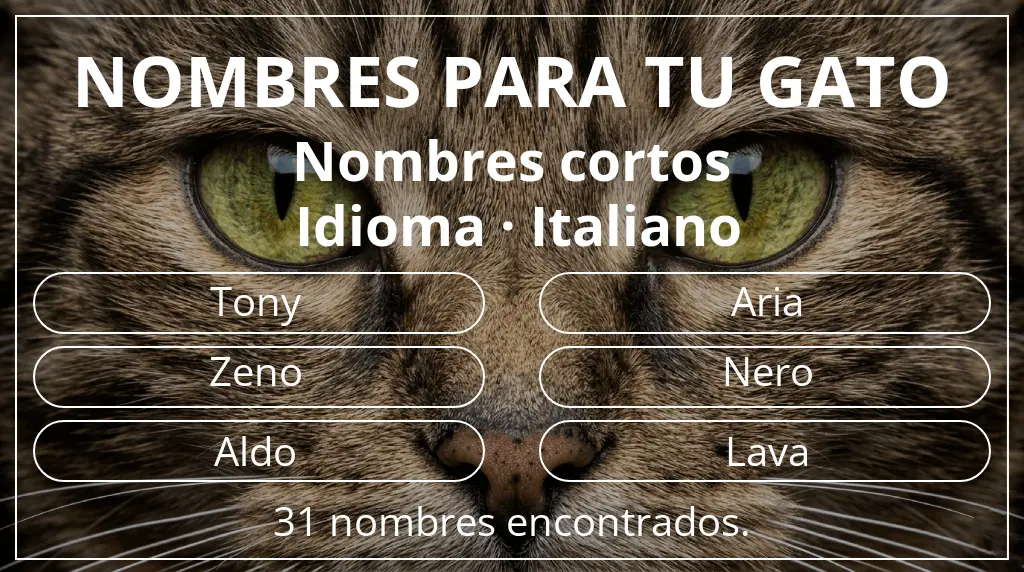 Nombres felinos inspirados en longitud del nombre corto (2-4) y idioma italiano