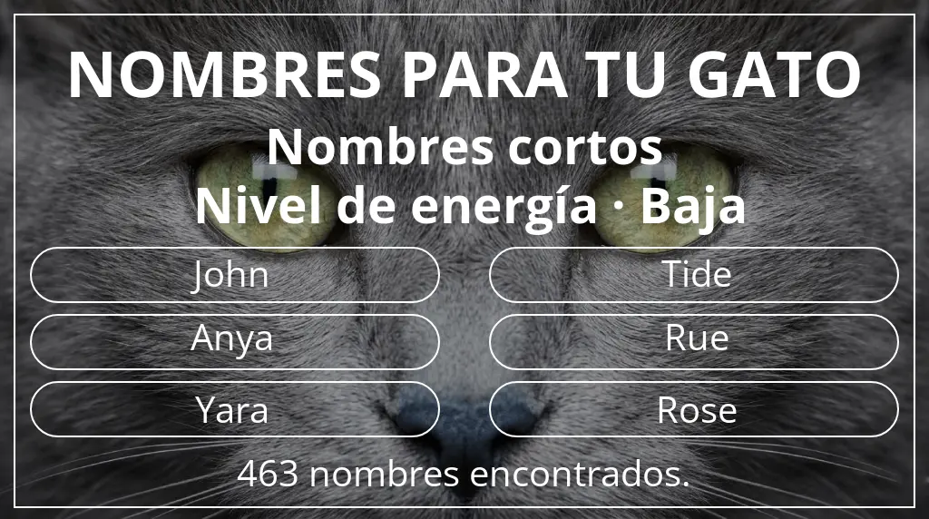 Nombres para gatos inspirados en longitud del nombre corto (2-4) y nivel de energía baja