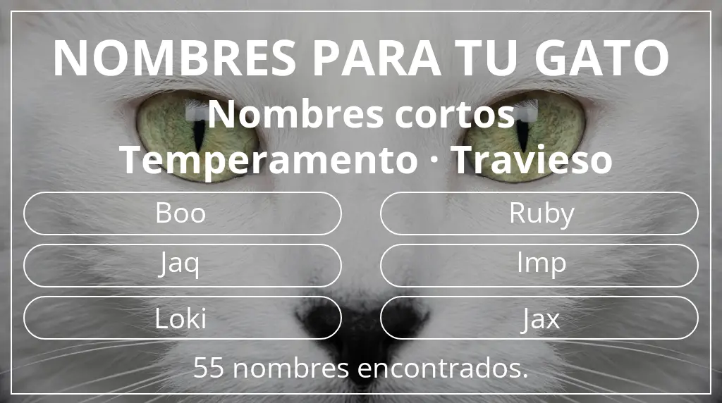 Nombres para gatos relacionados con longitud del nombre corto (2-4) y temperamento travieso