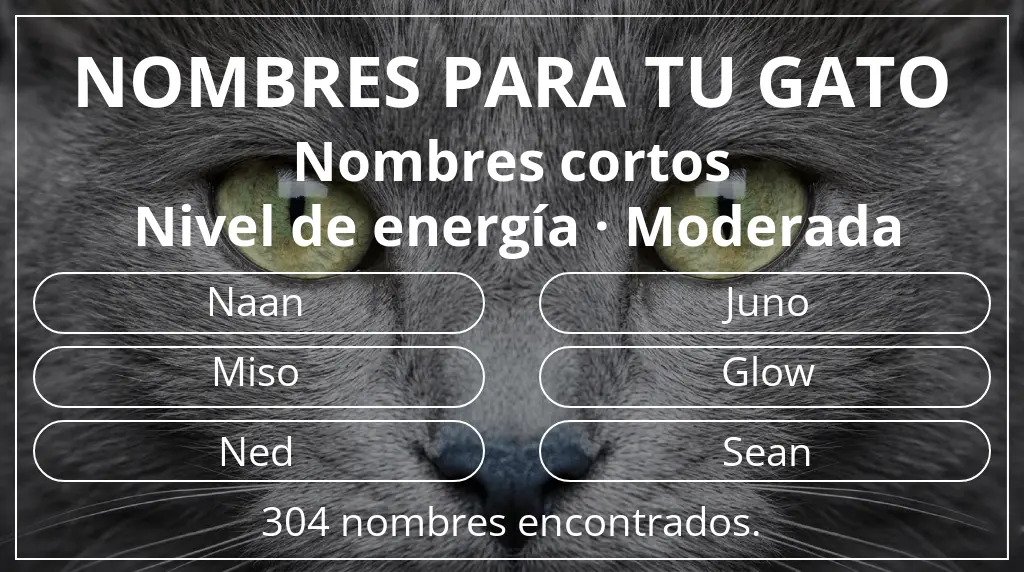 Nombres felinos basados en longitud del nombre corto (2-4) y nivel de energía moderada