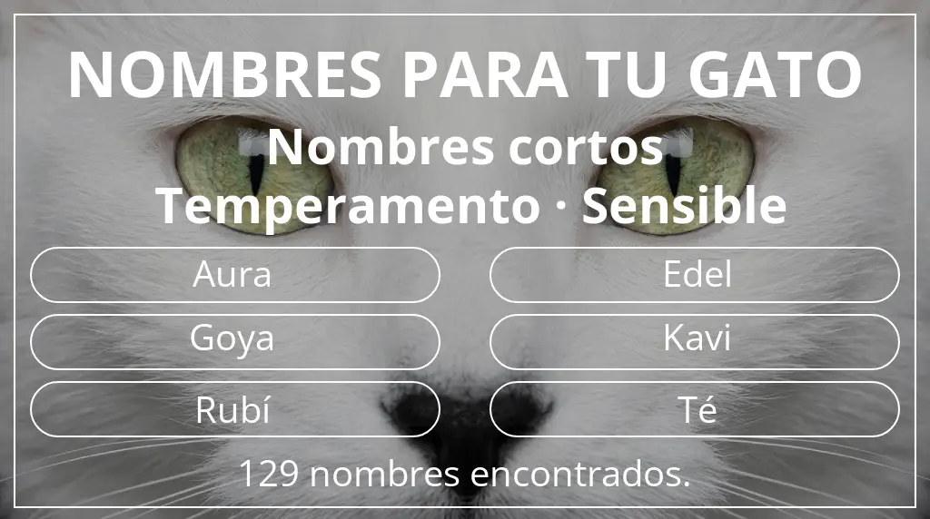 Nombres para gatos basados en longitud del nombre corto (2-4) y temperamento sensible
