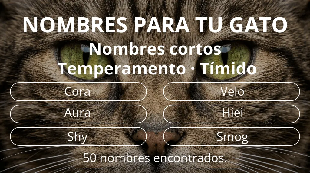 Nombres para gatos relacionados con longitud del nombre corto (2-4) y temperamento tímido