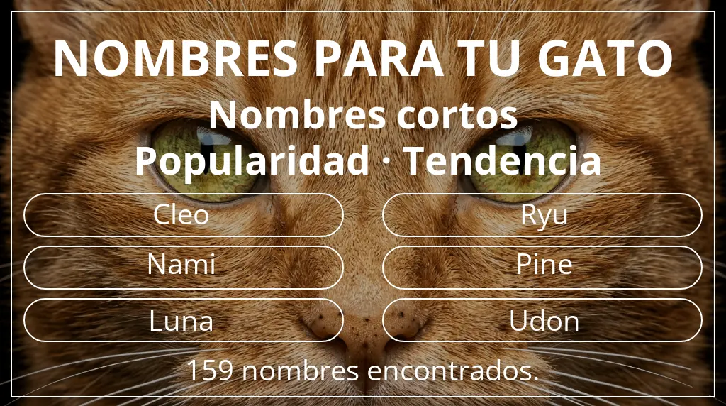 Nombres para gatos relacionados con longitud del nombre corto (2-4) y popularidad tendencia