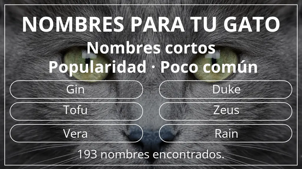 Nombres felinos inspirados en longitud del nombre corto (2-4) y popularidad poco común