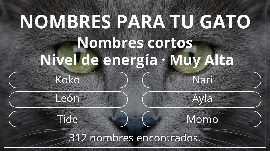 Nombres felinos relacionados con longitud del nombre corto (2-4) y nivel de energía muy alta