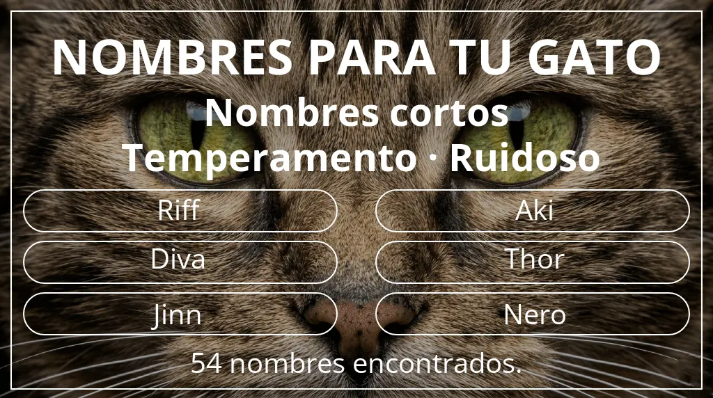 Nombres para gatos relacionados con longitud del nombre corto (2-4) y temperamento ruidoso