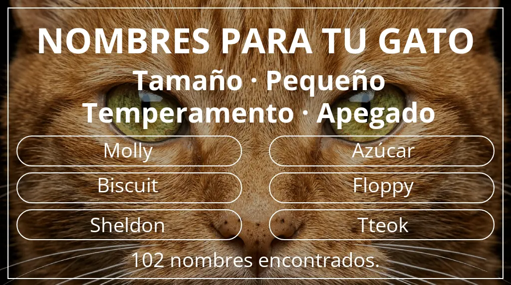 Nombres felinos basados en tamaño pequeño y temperamento apegado