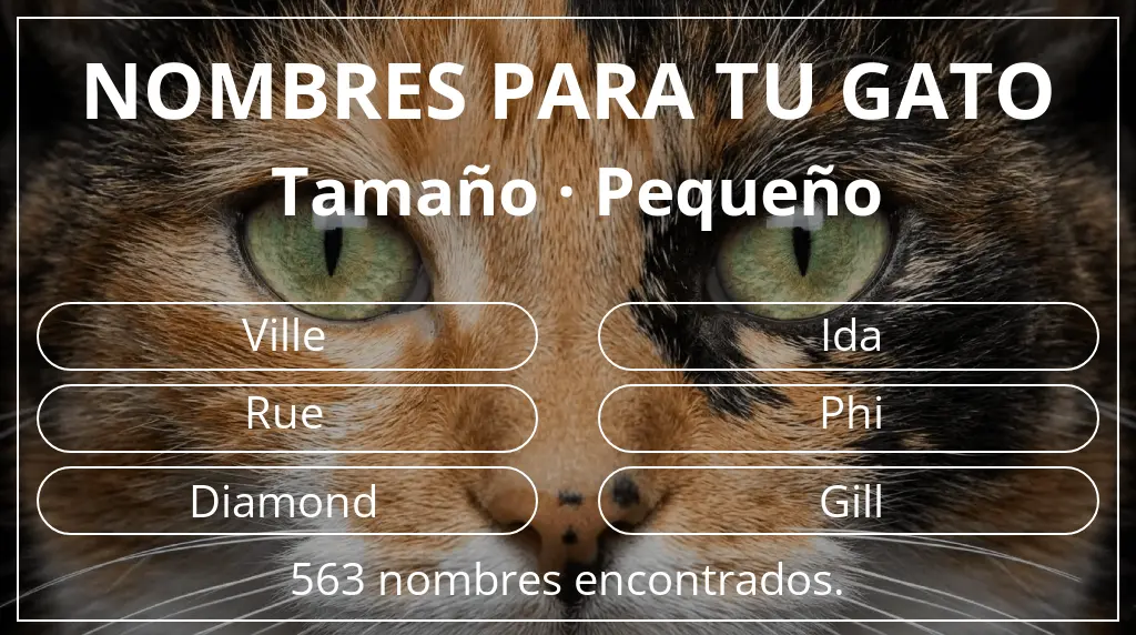 Nombres para gatos basados en tamaño pequeño