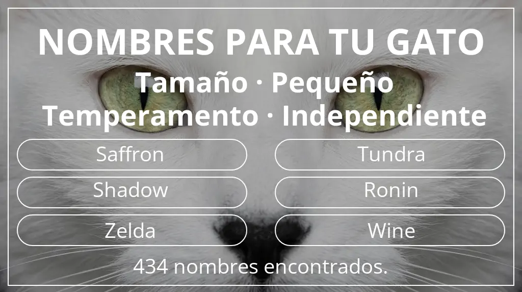 Nombres felinos basados en tamaño pequeño y temperamento independiente